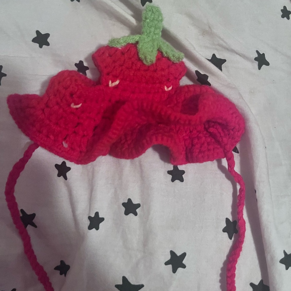 Crochet strawberry hat for cats
